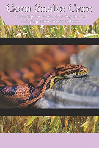 Corn snake care the - :,