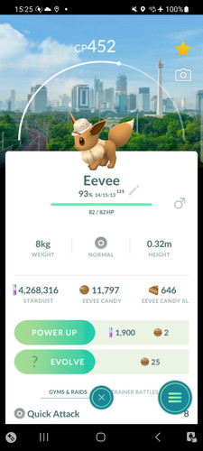 Eevee with explorer - , hat