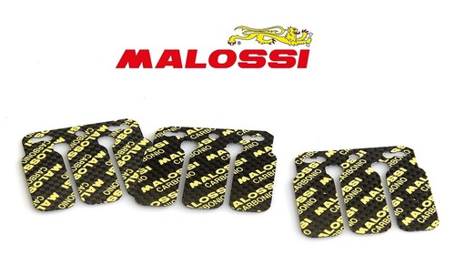 Lamella series malossi for - series,