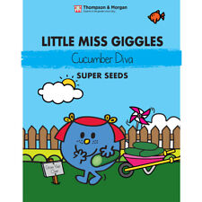 Thompson & Morgan Little Miss