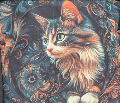 Cute tortoiseshell cat cross - cute,