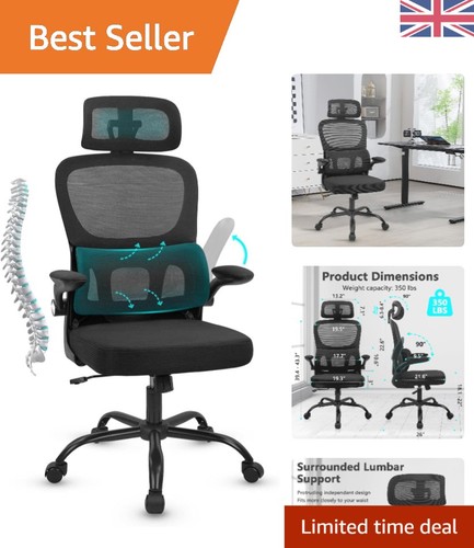 High back ergonomic desk - high, chair