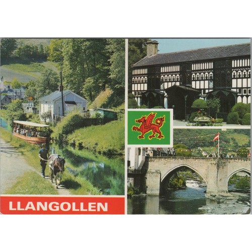 Postcard llangollen horse - postcard,