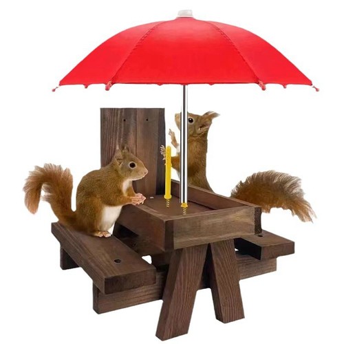 Wooden squirrel feeder bird - squirrel,