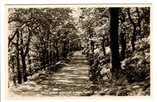 Valentine's RP Post Card of