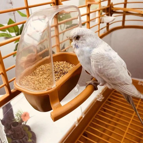 Pet drinker food feeder water - drinker,
