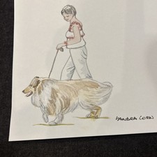 Shetland Sheepdog Original