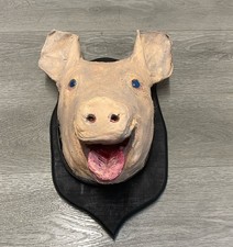Vintage Taxidermy farm Pig