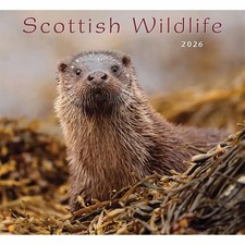 Colin Baxter, Scottish Wildlife Calendar 2026 - Regional - Month To View