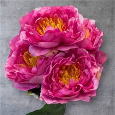 Artificial Peony Flower Bunch