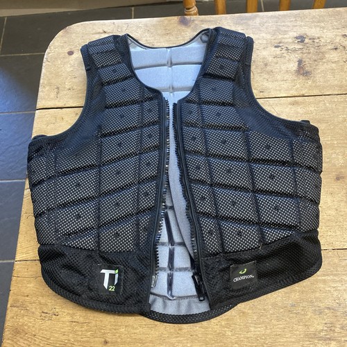 Champion ti22 body - champion, protector