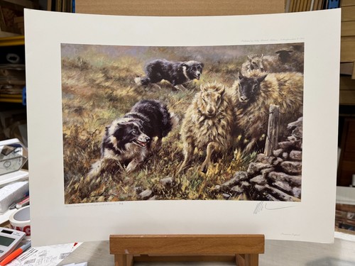 Mick cawston bring them in - cawston,