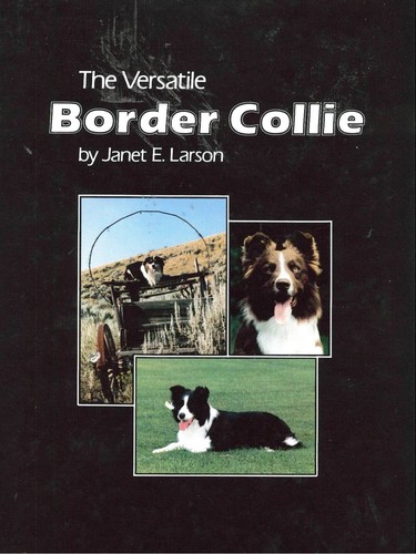 The versatile border - the,