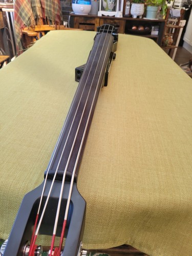 Stagg electric 4 double - electric,