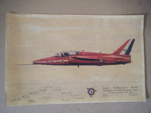 Collectable red arrows gnat - arrows,,