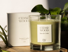 3 Wick Scented Candle Cedar