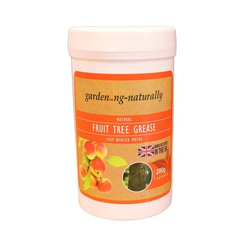 Fruit tree grease pot - pot, insect