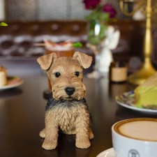 SoReal Brown Welsh terrier