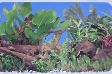 Aquarium Vivarium Planted