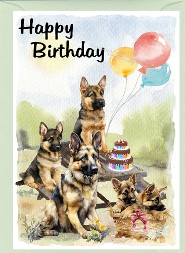 German shepherd dog - german,