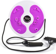 Waist Twisting Disc Board
