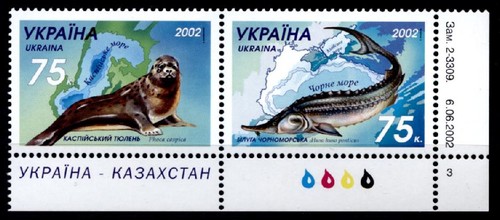 Caspian seal black sea - black,