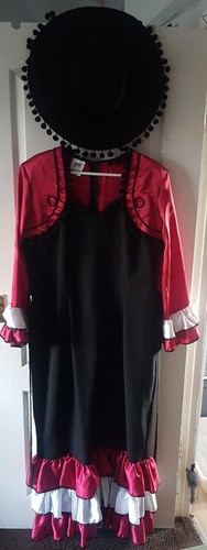 Flamenco senorita salsa dress - flamenco,