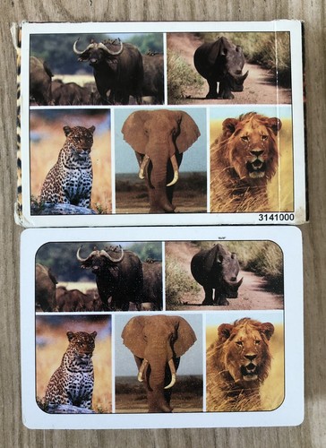 South african experience - african,
