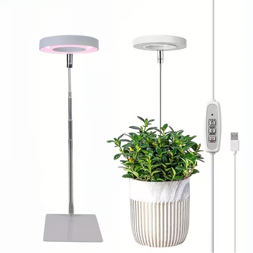 Indoor plant growth - indoor, with