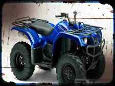 A4 Metal Sign motorbike grizzly 350 automatic