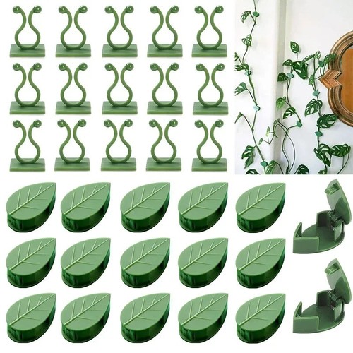 Plant climbing wall vines - plant,