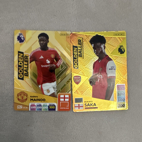Panini adrenalyn premier - panini,