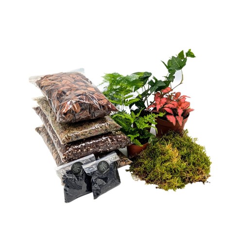 Diy large closed terrarium - diy,
