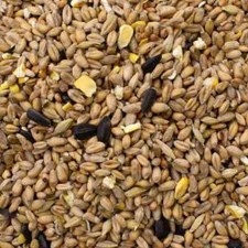 Original wild bird seed mix - original,