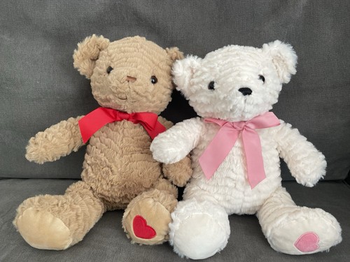 Bears white and brown teddy - white,