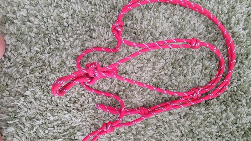 Parelli type pony halter - parelli,