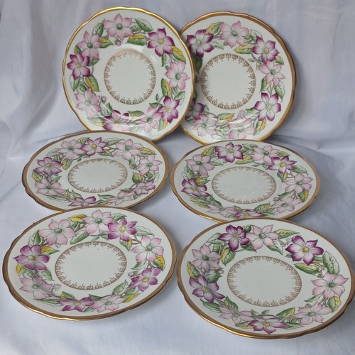 Royal stafford clematis china - royal,