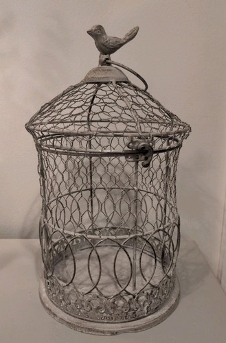 Vintage ashland wire - wire, bird