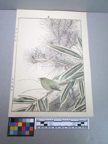 Woodblock print - woodblock,