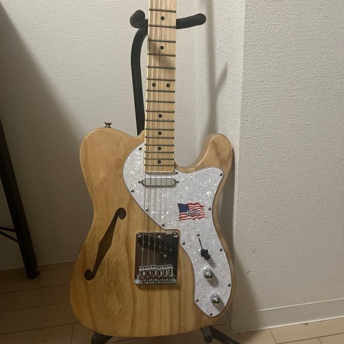 Vtg series thinline type - thinline,