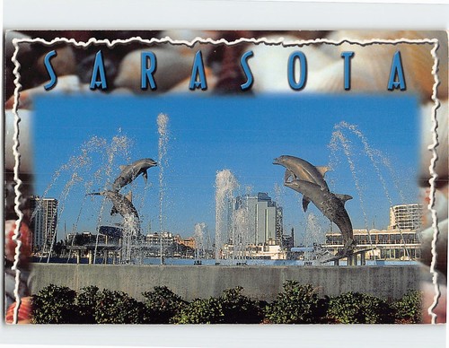 Postcard view the dolphin - postcard, of