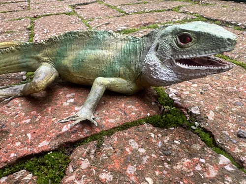 Large plastic iguana reptile - plastic,