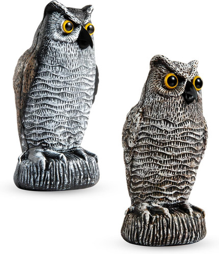 Pigeon deterrent owl decoy - decoy, to