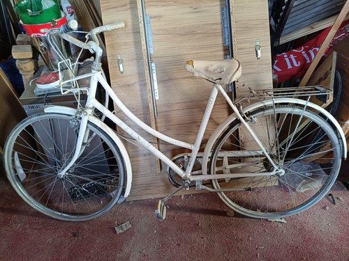Vintage women raleigh bike - women's,