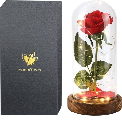 Dream flowers preserved red - dream,