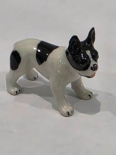 Miniature french bulldog - miniature,