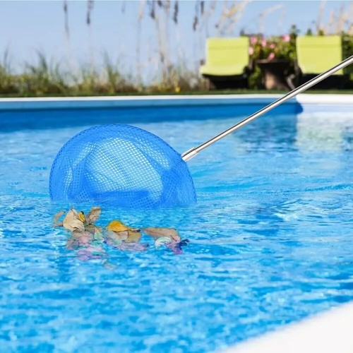 Leaf skimmer hot tub - hot, debris