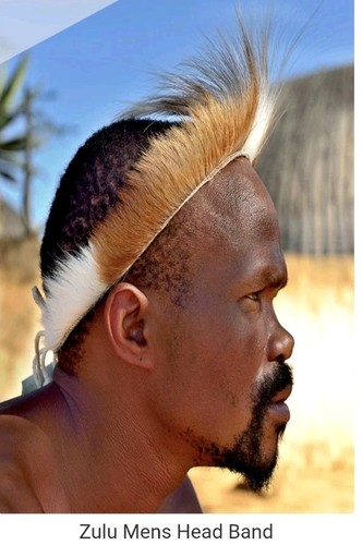 Springbok zulu headband - springbok,