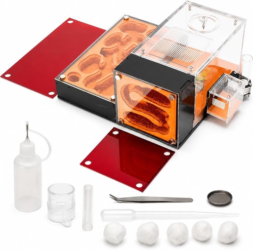 Hybrid ant farm for - hybrid,