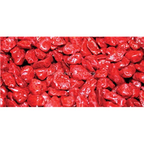 Aquarium fish tank - aquarium,
